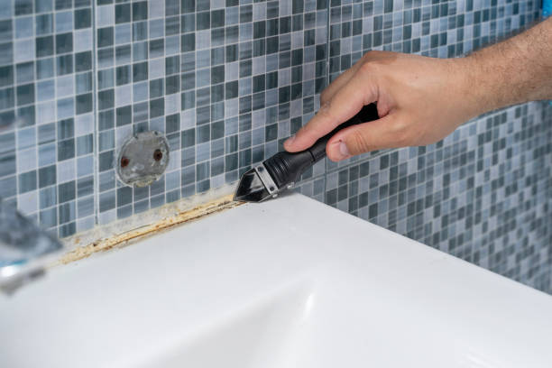 Home Mold Removal in Brock Hall, MD